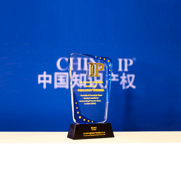 Outstanding IP Service Team in China (2021-2024)