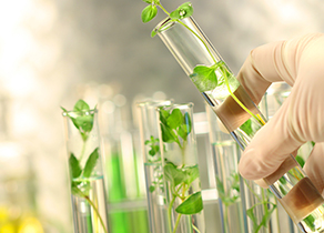 Biomedicine
